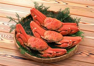 幕張本郷駅近くの居酒屋「酒場食堂V」の魅力とおすすめポイント