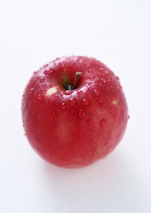 レストランビュッフェの魅力と詳細ガイド〜和洋中の絶品料理とファミリーに優しいサービス〜