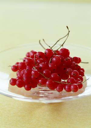 大阪・難波の新鮮海鮮と磯焼きが楽しめる磯丸水産 なんば南海通り店の魅力と店舗情報