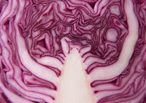 銀座の居酒屋完全ガイド2025：選び方とおすすめ店トップ10