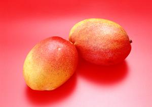 鶏素揚げ・肴・釜めし かまどか 秋葉原店の魅力